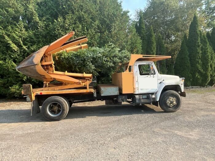 1988 international