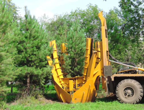 Tailoring Tree Transplating Equipment to Fit Your Unique Farm Needs