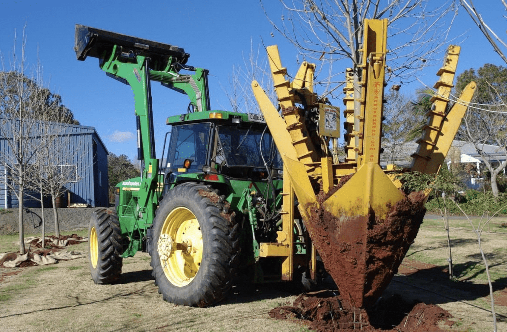 Tree spade transplanting a tree