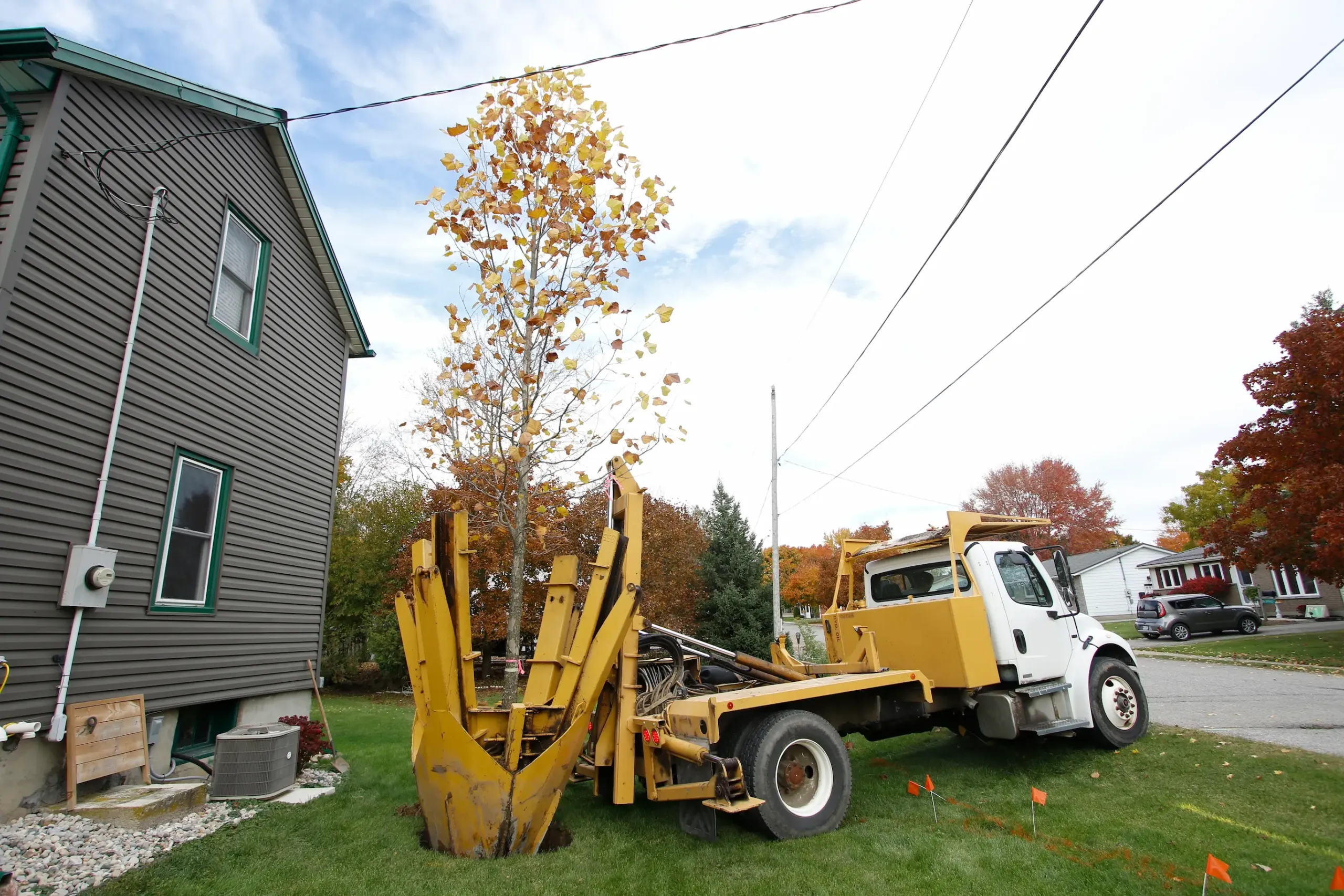 Tree Spade Rental