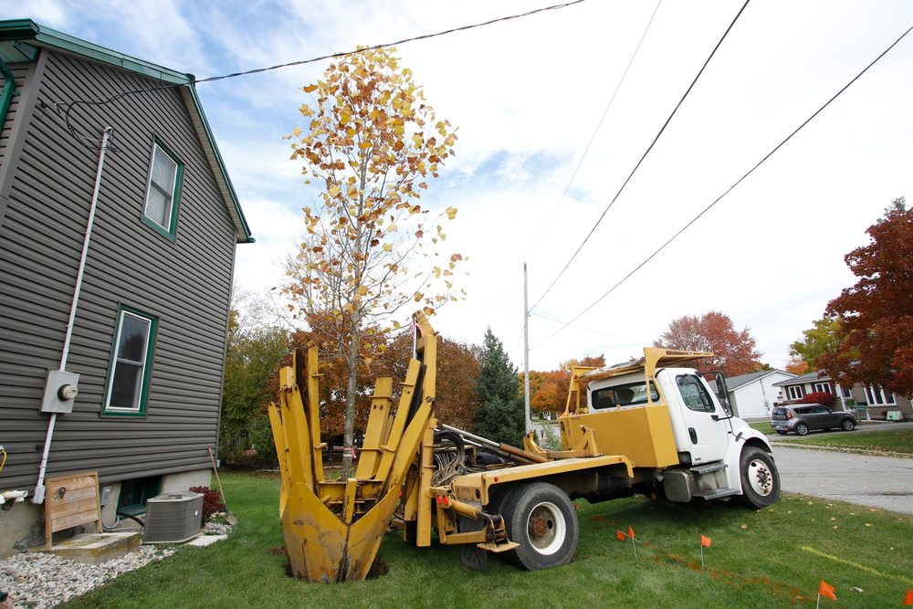 Tree spade mounted on a truck planting a tree in a prepared hole.