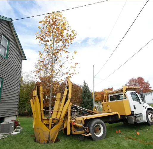 Big John tree spade digging tree in rural Minnesota.