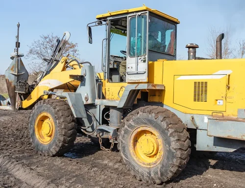 Big John vs Dutchman vs Optimal: Which Tree Spade Brand Is Best in 2026?