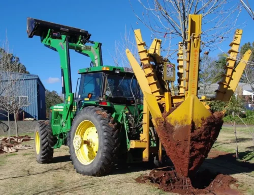 The Impact of Tree Spades on Landscaping Trends