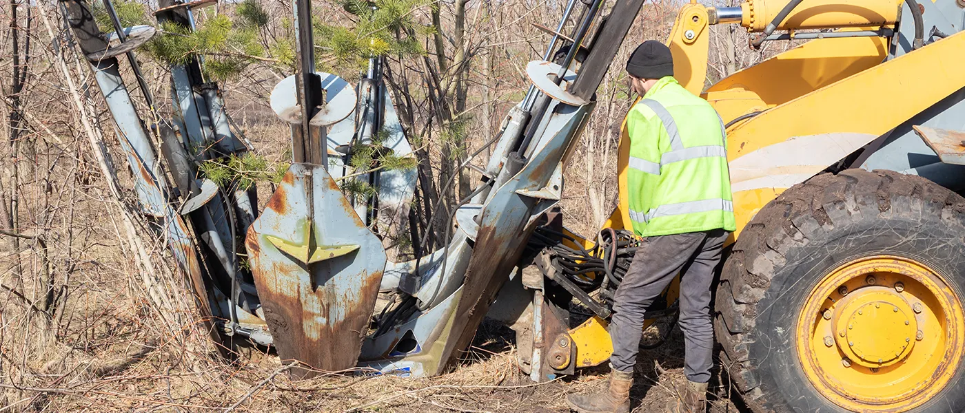 Tree transplanting equipment used in professional operations